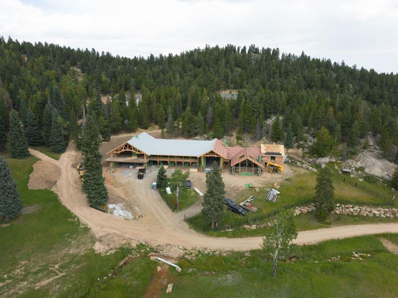 The house from above: the roofline against the pines and the meadow below